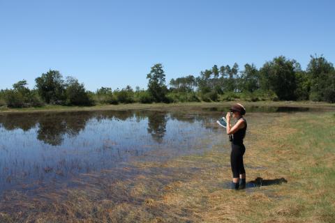 Lagune à Brocas